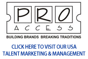 Pro Access Inc